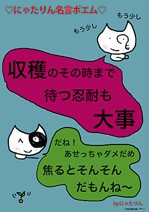 お金も人間関係も収穫のときまで待つ忍耐が大事だよ にゃたりん名言ポエム